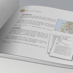 Creative Brochure Design